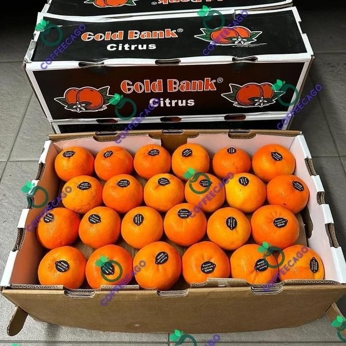 

BisaInstan- Jeruk Wokam Gold Bank Citrus Premium 1 Dus (8.5 Kg) Fresh Import