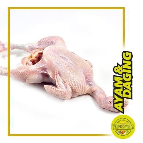 

Kirim,HariYgSama- Ayam Negeri Utuh / ekor