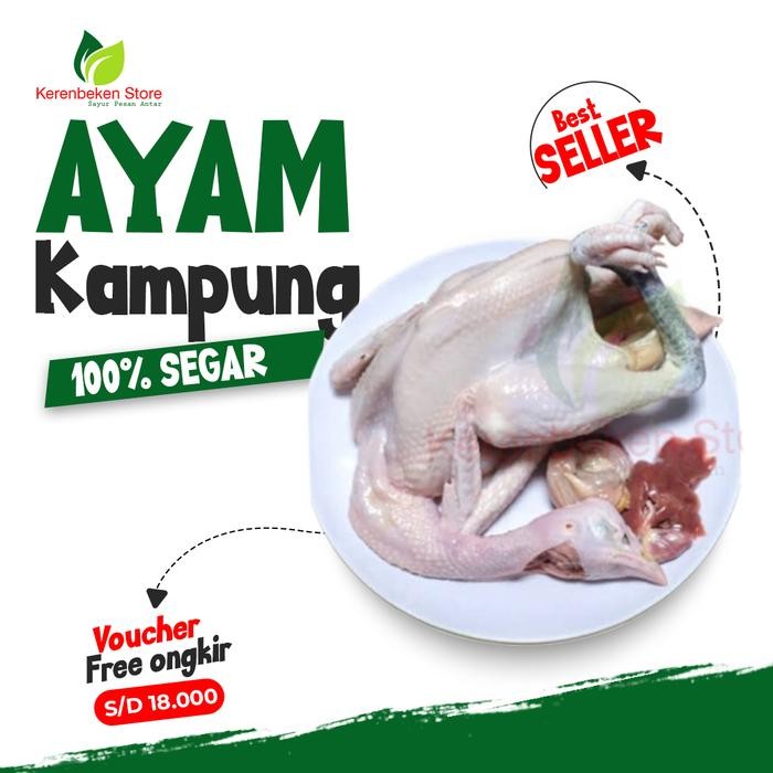 

Kirim,HariYgSama- ayam kampung per ekor 800gr FRESH