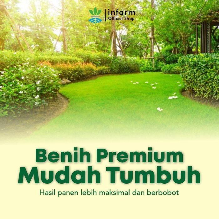 

Benih Sayur Rumput Jepang isi 5 Gram Infarm *