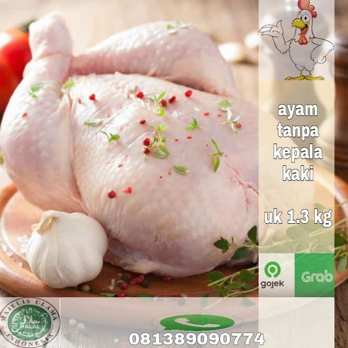 

NewZbgt- ayam potong pala kaki (PKK) uk.1.3-up