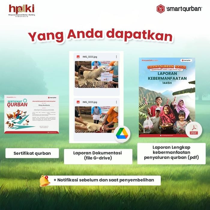 

Qurban Kambing (1/7 Sapi) Ternaknesia REGULER