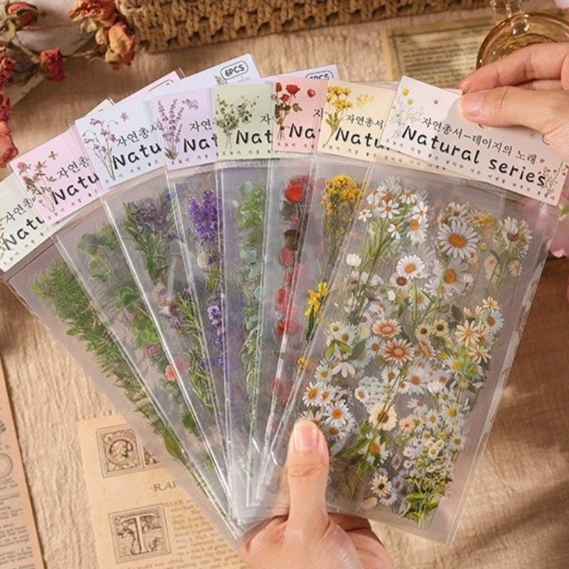 

UM1 6 lembar sticker bunga flower Natural Series PET daisy jurnal scrapbook diary diy art