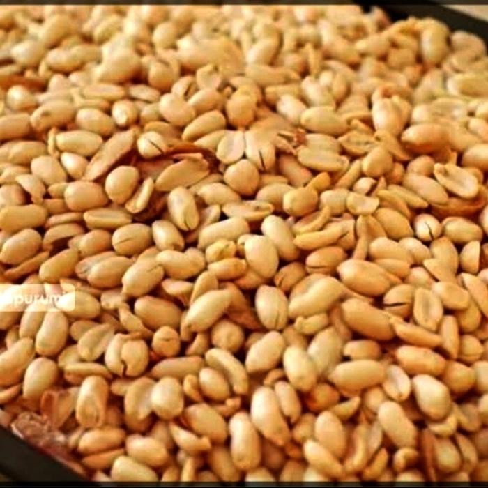 

Dapur Joglo Kacang Bawang Goreng 1Kg