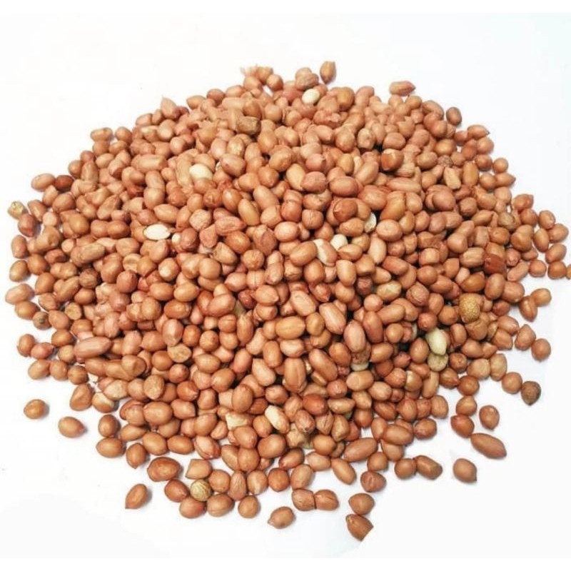 

Cemal Cemil Makyus Kacang Tanah Bali Kacang Suuk Bali Kupas Mentah 250Gr