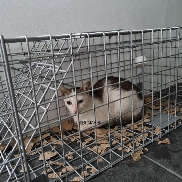 kurungan besar lipat jebakan Kucing luwak Musang 76x28x30cm hewan