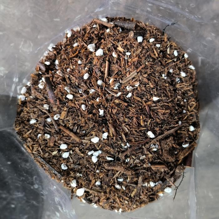 Thinkerbelllll Media Fermentasi Aglonema / Philo (Perlite,Sekam,Andam,Kaliandra) 1 Kg