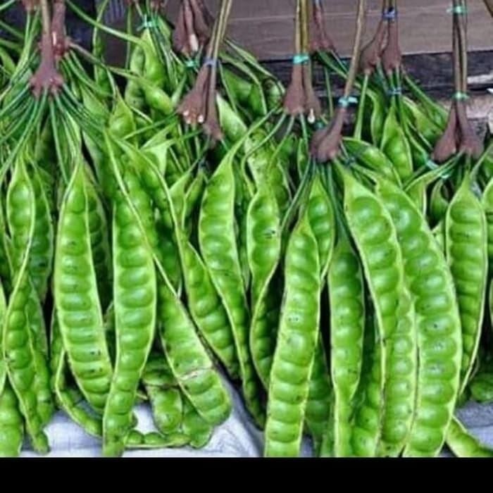 

Petai - pete sayur segar per 1 papan *