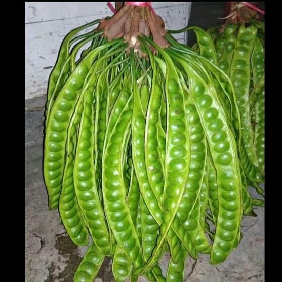 

Pete Petai kupas murah *