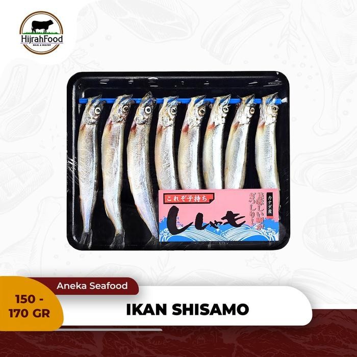 

BeliSkrg,KirimHariini- Ikan Shisamo Capelin Shisamo Fish Ikan Isi Telur