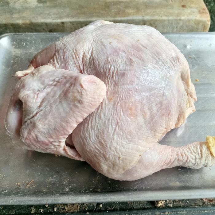 

BeliSkrg,KirimHariini- ayam broiler frozen 08 sd 09 ons/ ayam porong/ayam negeri/ayam murah