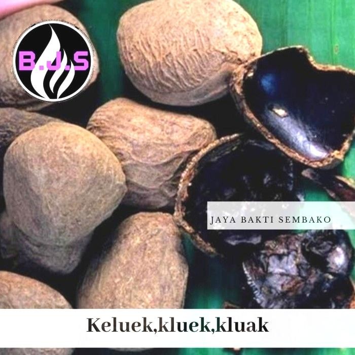 

PastikanDikirimLgsg- kluek,kluwek,kluak,keluwak,rawon 1kg