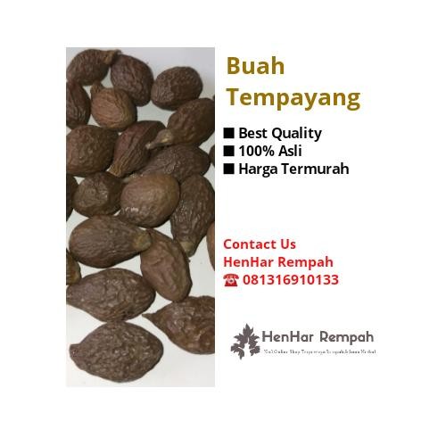 

PastikanDikirimLgsg- Buah Tempayang / Buah kembang semangkok / Beng ta hai 100 gram