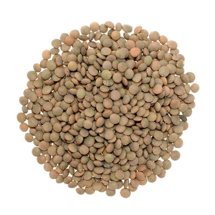 

PastikanDikirimLgsg- Lentil Coklat ( Brown Lentils ) 500gr
