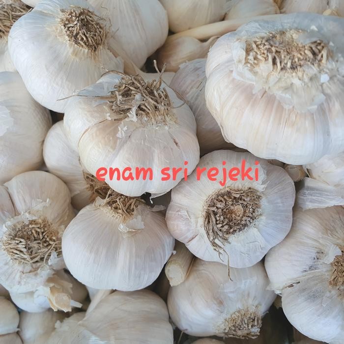 

New bawang putih kating 1 kg