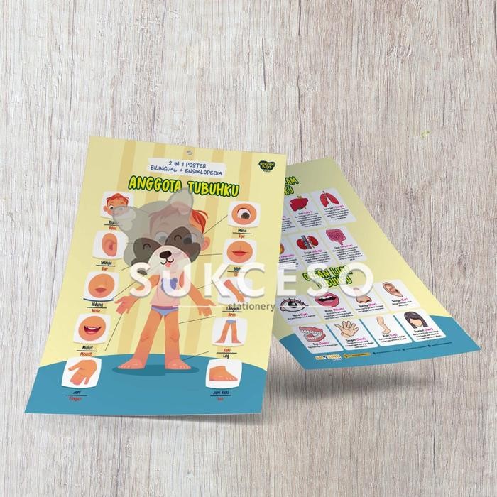 

TERBARU! AMAZING Poster Anggota Tubuhku / Poster Edukasi Anak (2 in 1 poster)