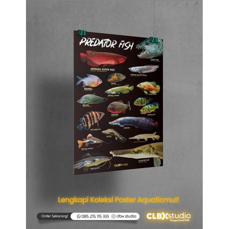 

Poster PREDATOR FISH (Poster A3)