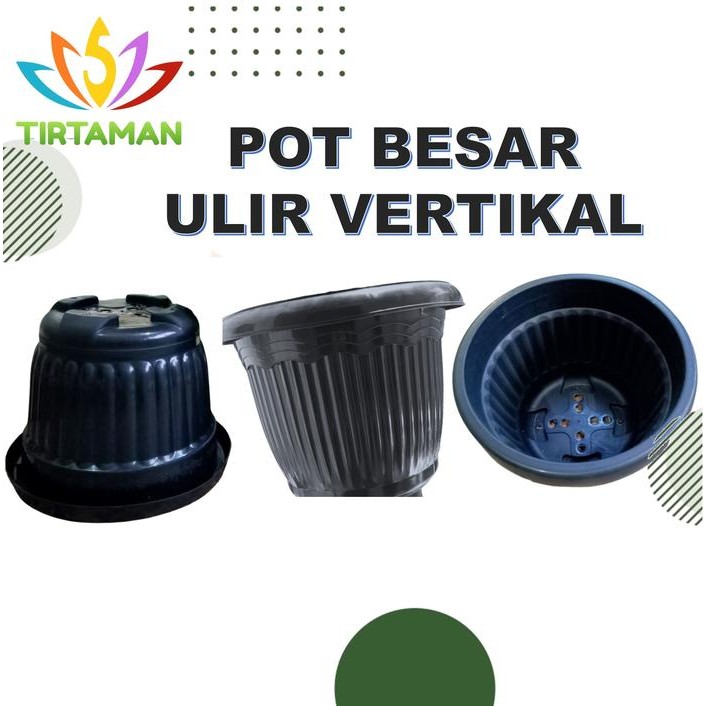 Evergreeeen Pot Tanaman Besar / Pot Plastik Besar