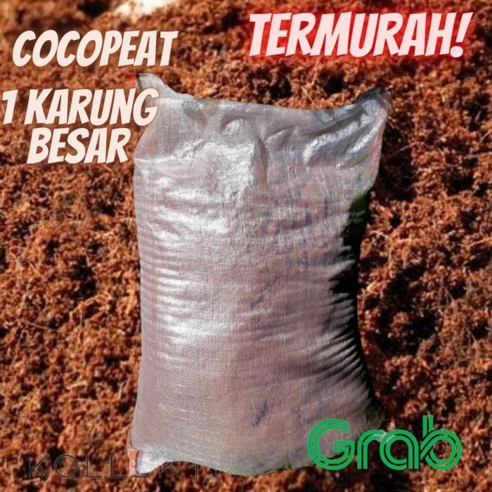 Evergreeeen Cocopeat/ Cocopit Murni Media Tanam 1 Karung 50Kg