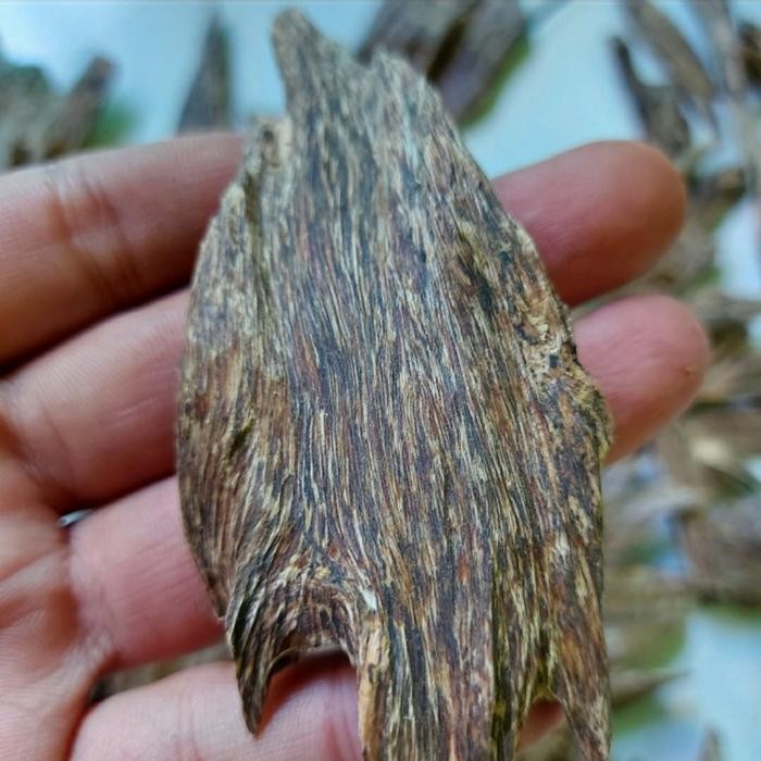 Kayu gaharu super asli alami kalimantan utara