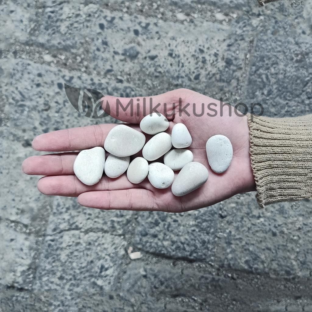 BATU KORAL PUTIH KECIL - HIASAN TAMAN BATU MAKAM VIA GOSEND GRAB