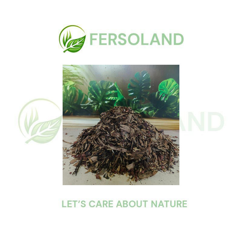 Media tanam aglonema 5kg media tanam aglaonema red peacock widuri siap pakai media tanam fermentasi