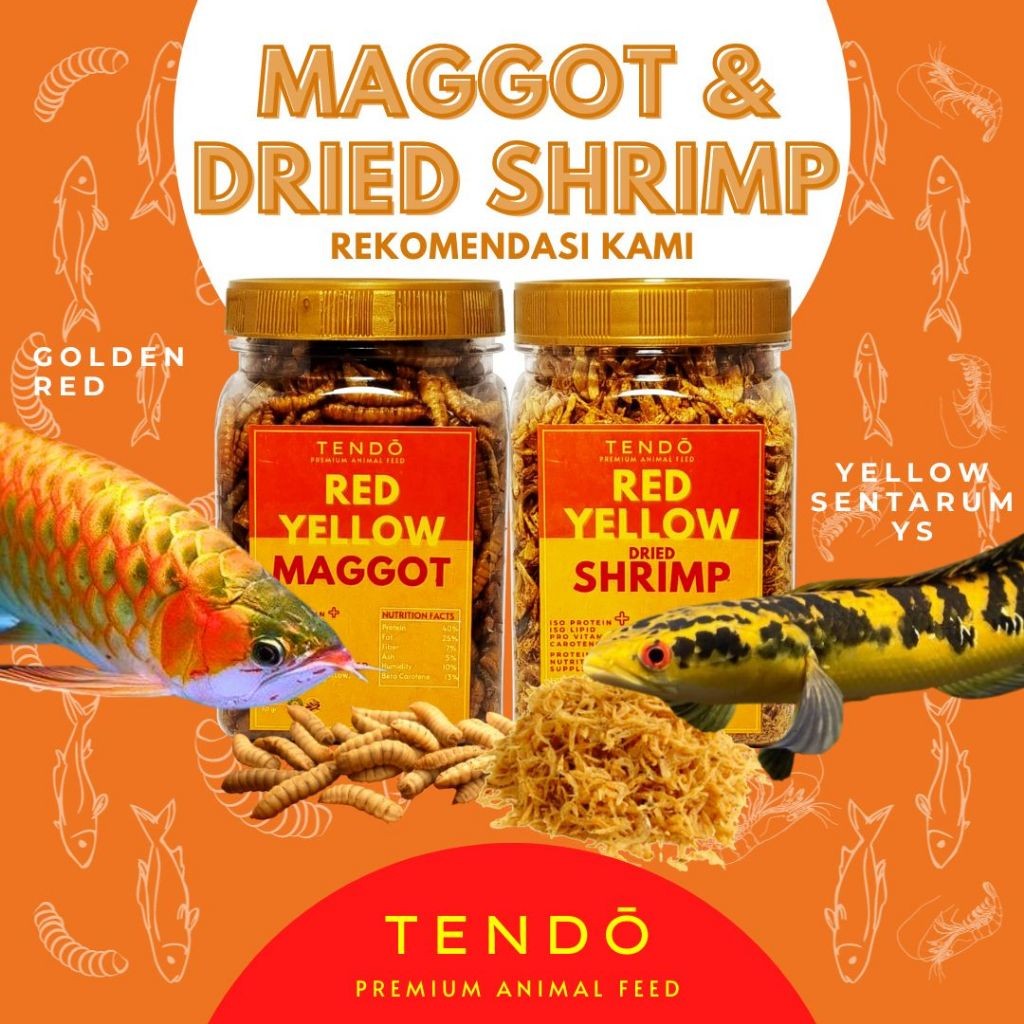 Paket Pakan Ikan Channa Maru Arwana Maggot Udang Kering Channa Red Yellow Blue Tendo