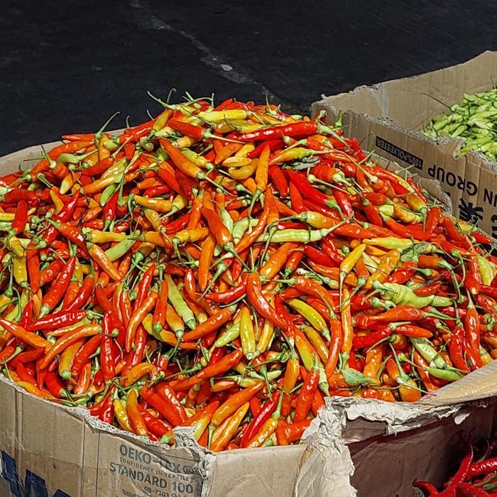 

BnyKBonusBelidiMari- cabe rawit merah 1 kg