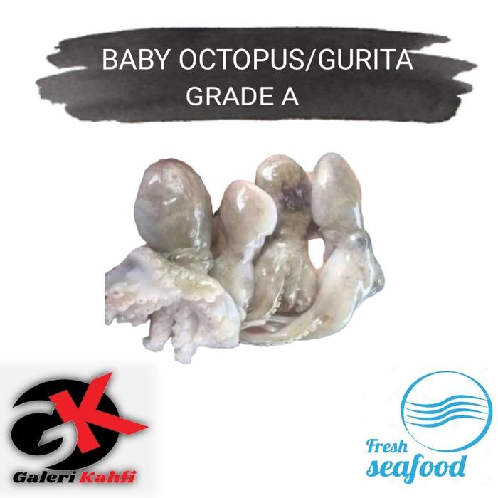 

BnyKBonusBelidiMari- Baby Octopus Gurita Segar Berkualitas Grade A - 1 Kilogram