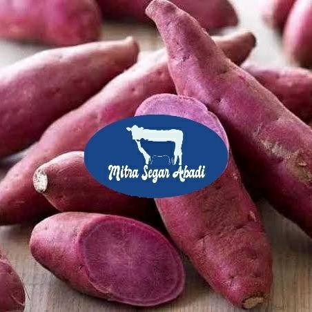 

BnyKBonusBelidiMari- Ubi Ungu Jepang Satsumaimo @1KG