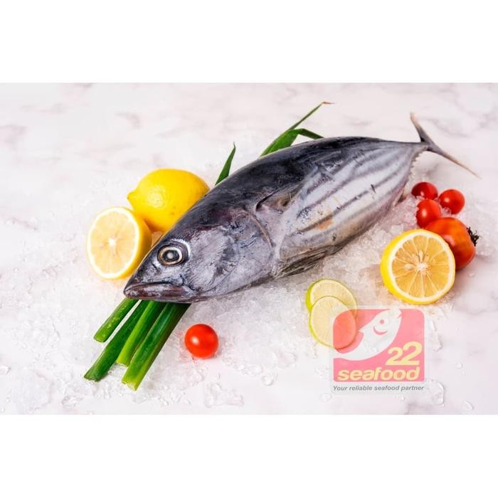 

PastiFreShNya- Ikan Cakalang / Cakalang Utuh 1 kg / Frozen Skipjack / Seafood 22