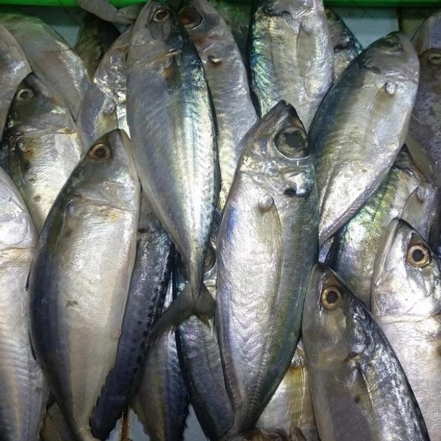

PastiFreShNya- ikan kembung mata belo fresh segar - 500gr