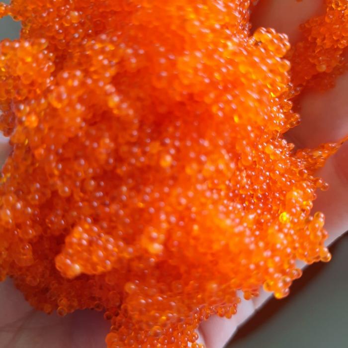 

PastiFreShNya- Tobiko~Telor ikan orange Premium ~ Flying fish roe 500gr Halal