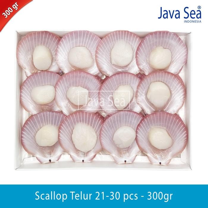 

BnyKBonusBelidiMari- Scallop Cangkang Daging 21-30 pcs pack 300gr Java Sea