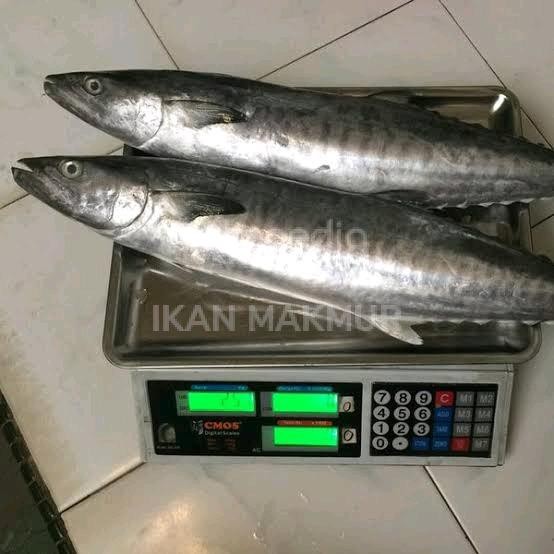 

PastiFreShNya- IKAN TENGGIRI FRESH 1 Kg JABODETABEK