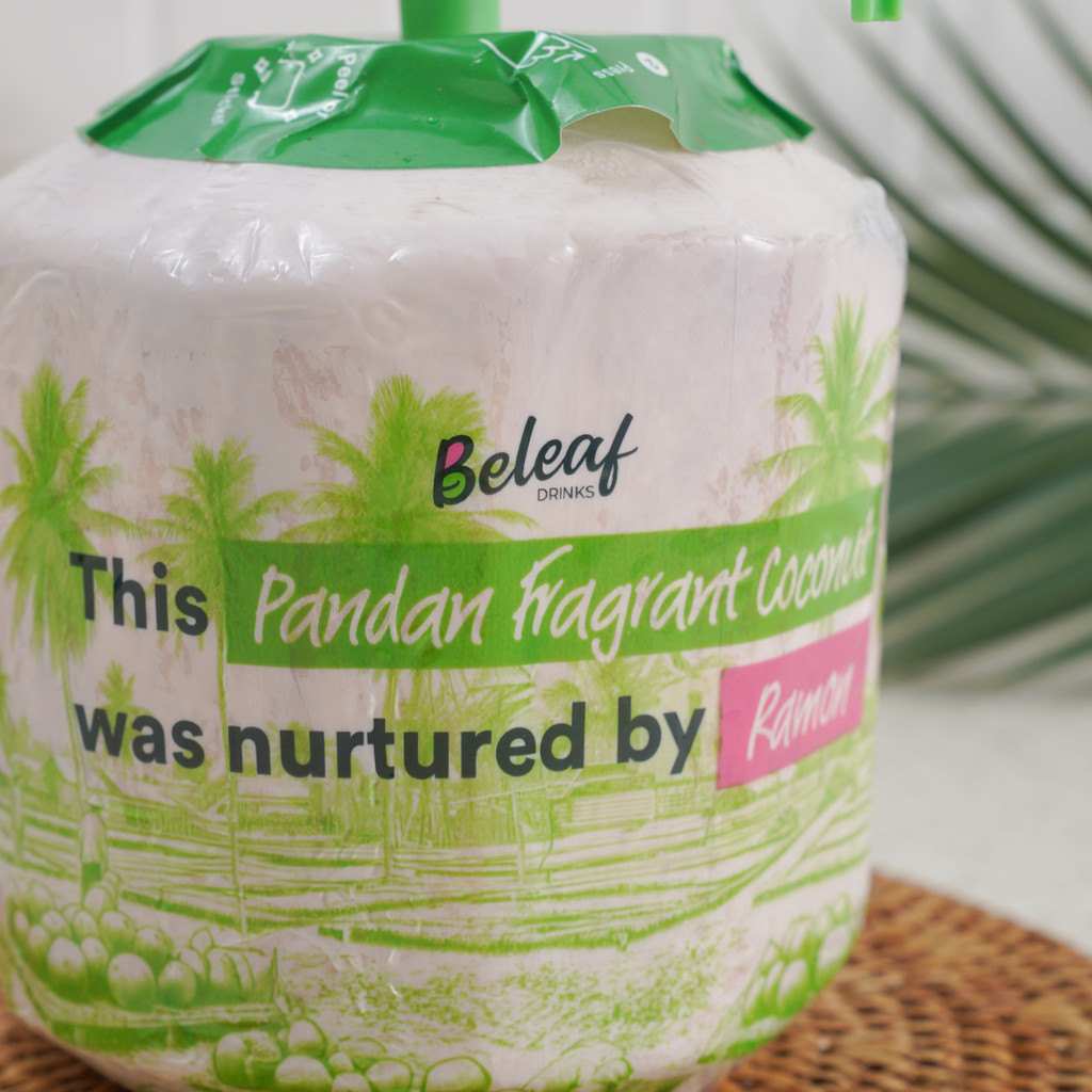 

Beleaf Kelapa Pandan Wangi Konvensional 1 pcs