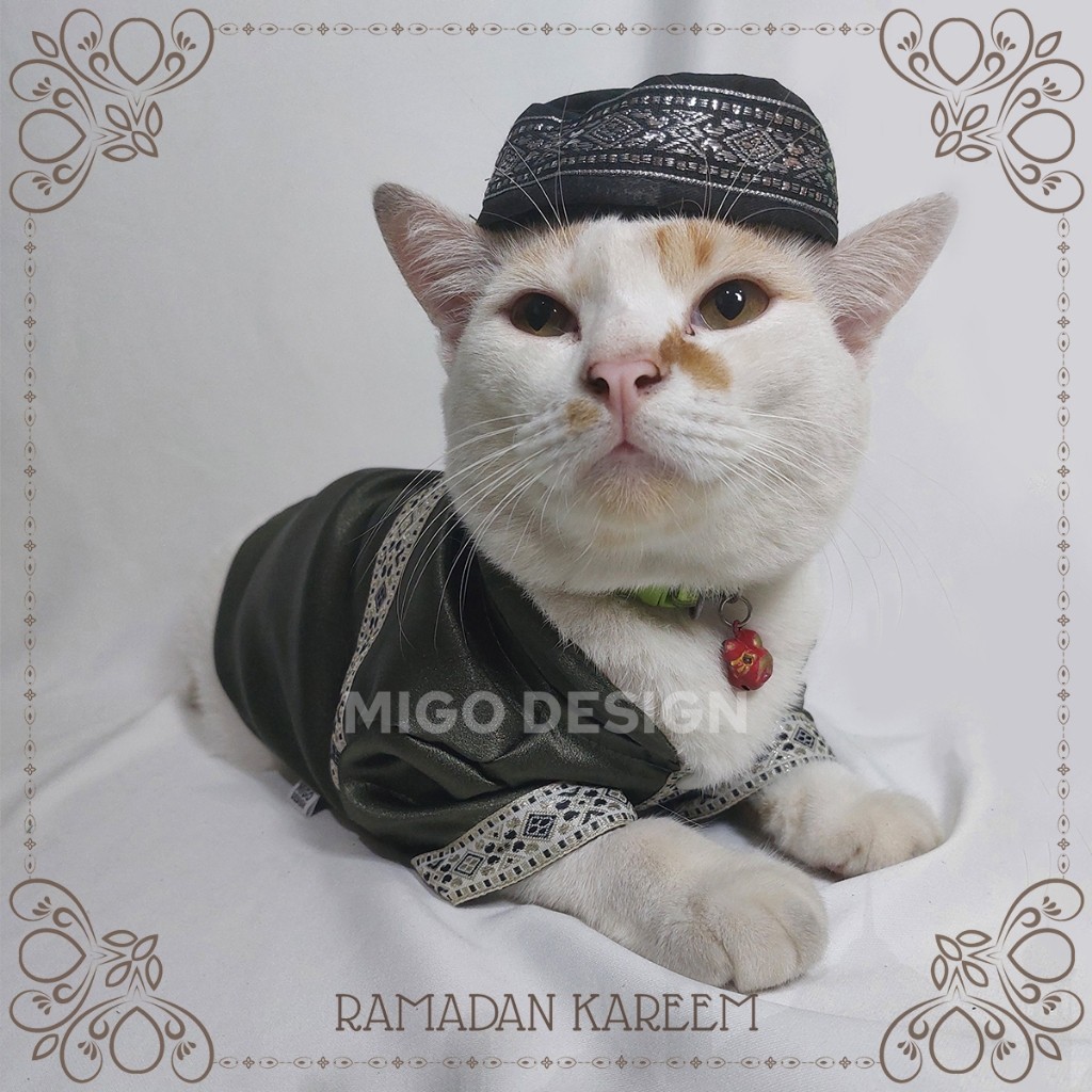 Mo Desn LIMITED EDITION 56 Couple Baju Ramadan Lebaran Dress Gamis Kemeja Koko Hijau Sage Kucing