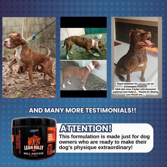 Suplemen / Vitamin Otot Anjing Lean Bully Hell Protein
