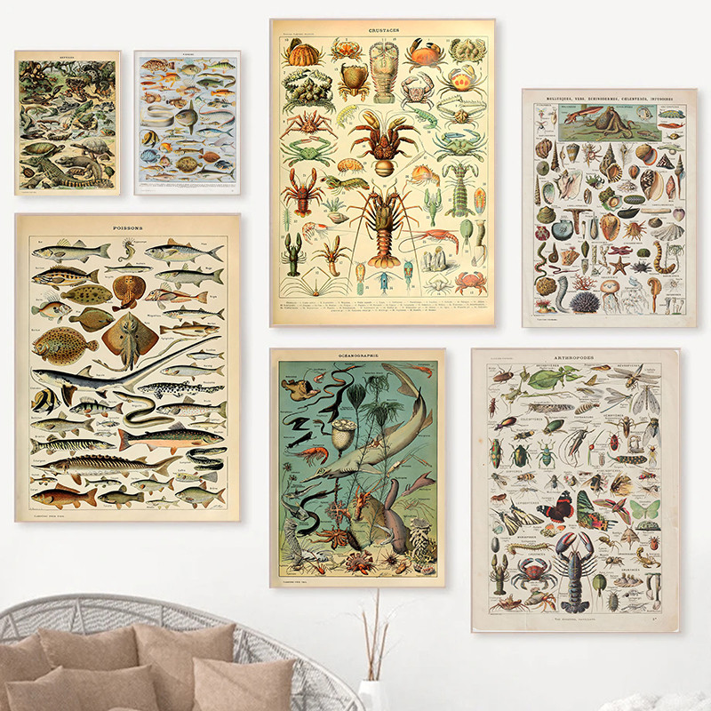 

Canvas Painting Wall Art Reptiles Crustaces Poissons Animal Vintage Adolphe Millot Encyclopedia