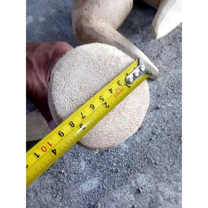 Terapitrendy Ulekan Super Dari Brungki,Ulekan Bambu Ulekan Akar