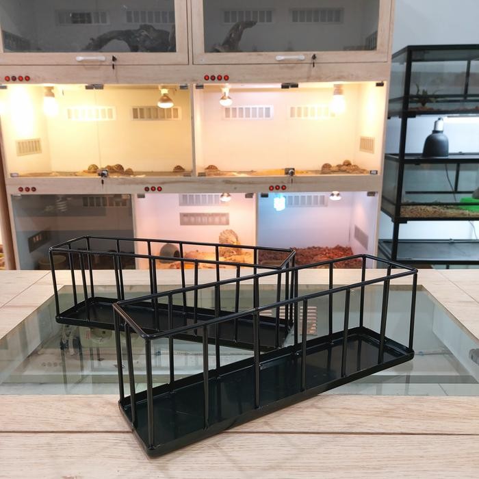 PROMO Feeding Dish Stainless / Tempat Makan Torto Kurakura Sulcata Parda