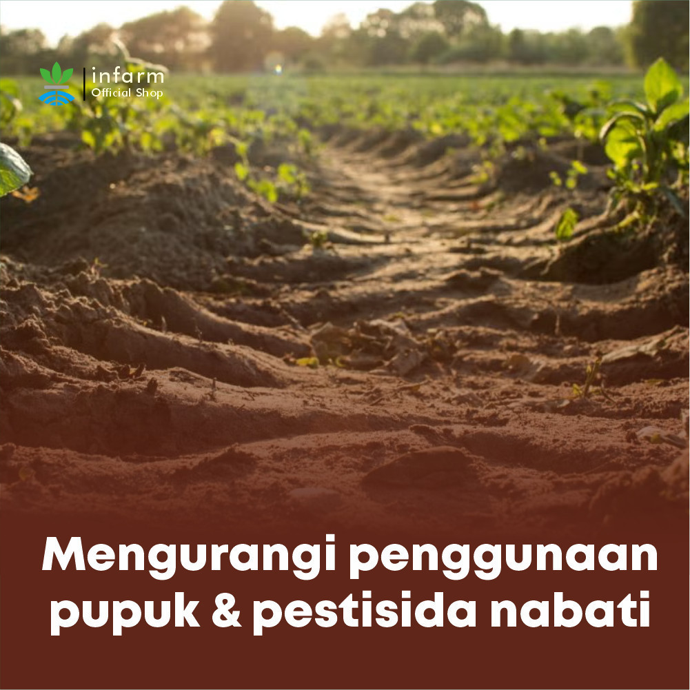 Baru Infarm - Trierma Organik Serbuk Alami Pengendali Jamur Dan Bakteri Trichoderma Fungisida