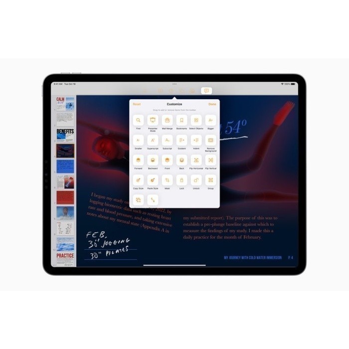 (Expert) Apple iPad Pro 2022 M2 11 inch Wifi Only Garansi Inter