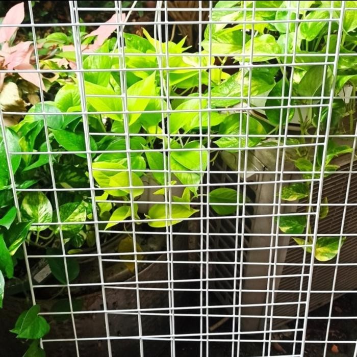 RAM RAK BESI VERTICAL GARDEN DINDING PUTIH