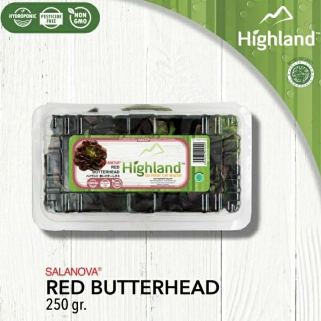 

Highland Sal Butterhead Red Hidroponik Hidroponik 250 gram