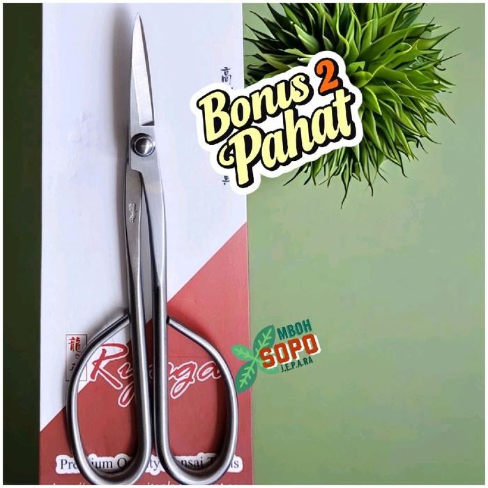 PREMIUM Alat Bonsai Berkebun, Gunting Pruning Bonsai Ryuga Stenlis RS 02