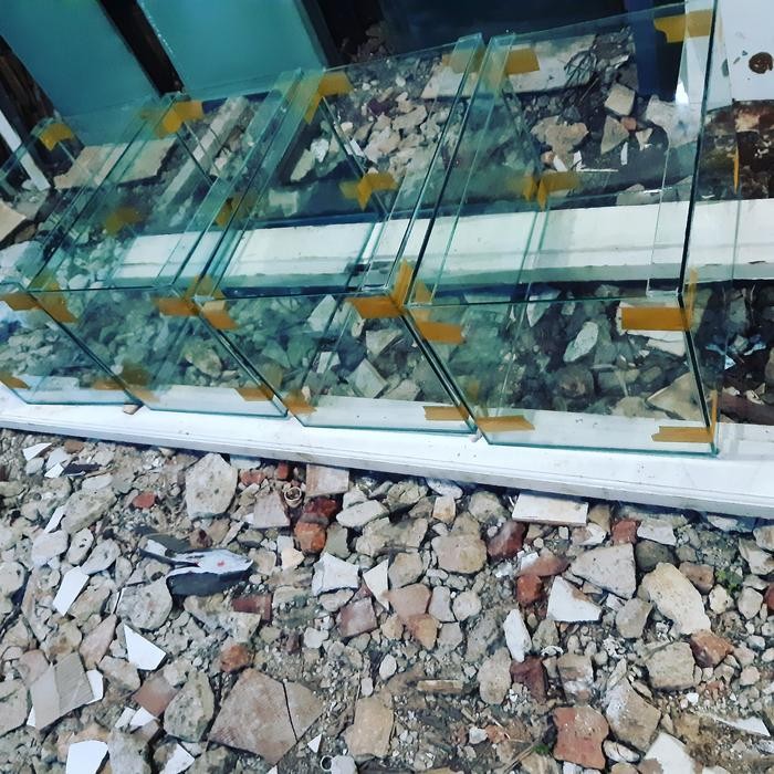 Pawretty- aquarium kaca 50x30x30