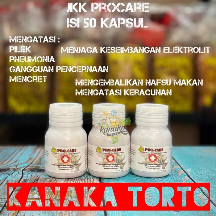 Meowz- Jkk ProCare Obat Flu Pneumonia Kura