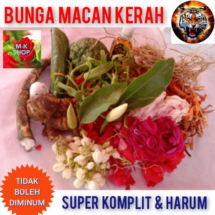SALE!! BUNGA MACAN KERAH SUPER KOMPLIT DAN HARUM