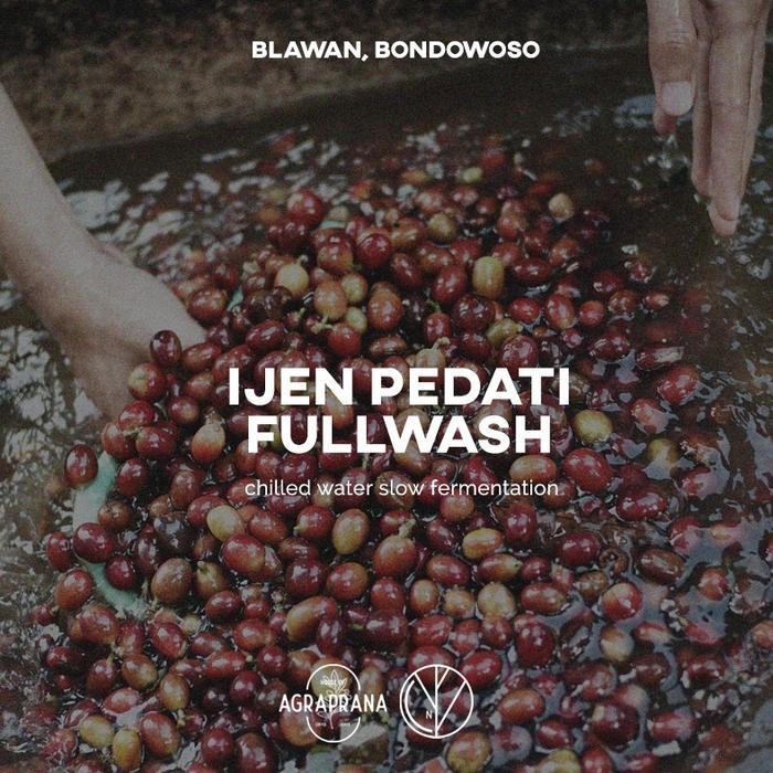 

Greenbean Arabika Ijen Pedati (Blawan) FULWASH AGRAPRANA